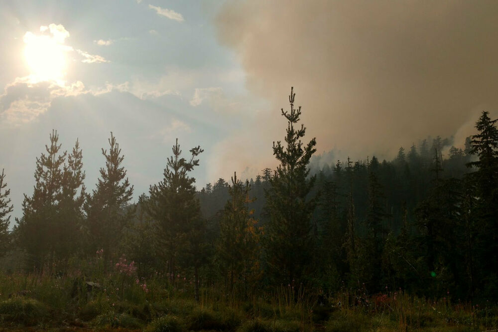 Oregon, Foto: Reuters