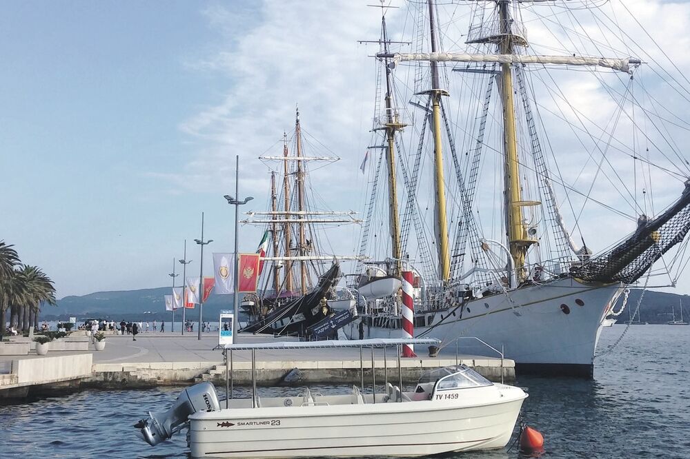 Pine, Tivat, Foto: Siniša Luković