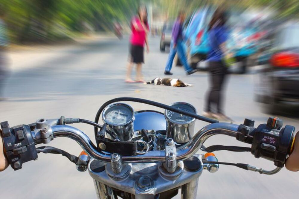 motocikl, vožnja motora, Foto: Shutterstock.com