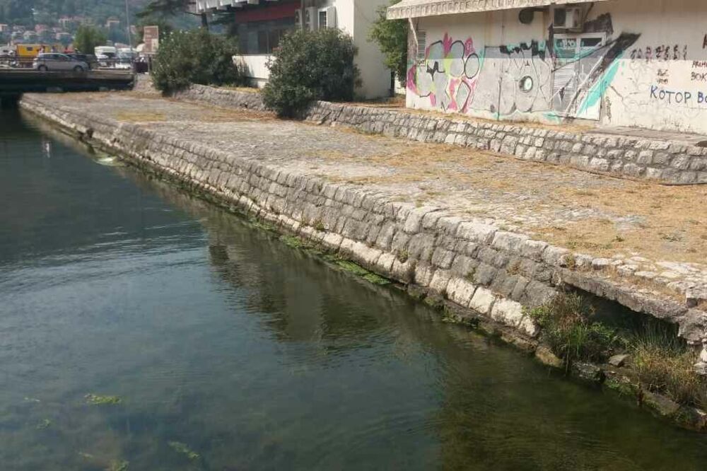 Kotor, Foto: Stručna služba predsjednika opštine Kotor
