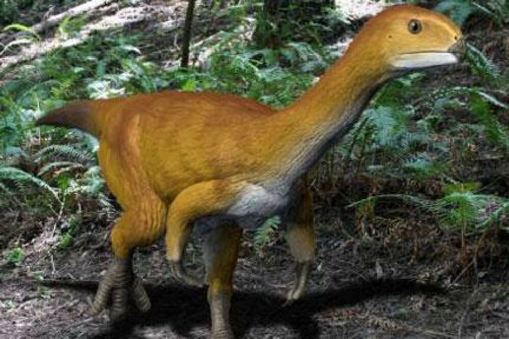 dinosaurus Frankenštajn, Foto: Cam.ac.uk