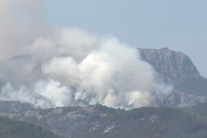 Na Lovćenu kritično: Vatra se opet približava objektima