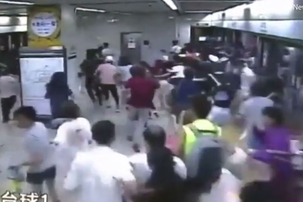 Stampedo, Foto: Screenshot (YouTube)