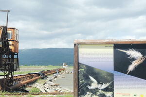 Vremeplov: Počinje berba soli, planiran prinos od 20.000 tona