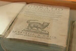 Znate li da Kotor ima muzej mačaka?