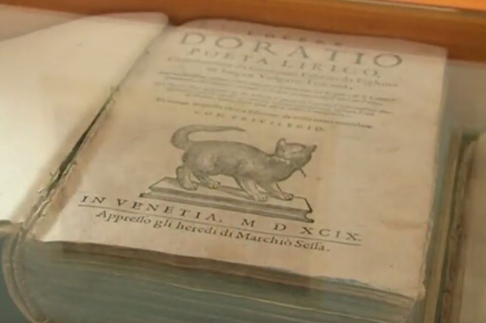 Muzej mačaka Kotor, Foto: Screenshot (YouTube)