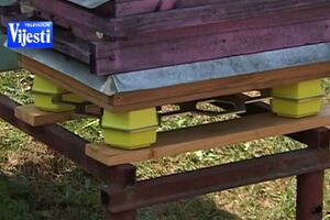 Tehnološka pomoć za pčelare: Studenti ETF napravili "pametnu"...
