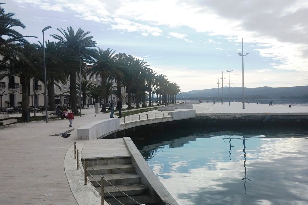 Tivat Pine, Foto: Siniša Luković