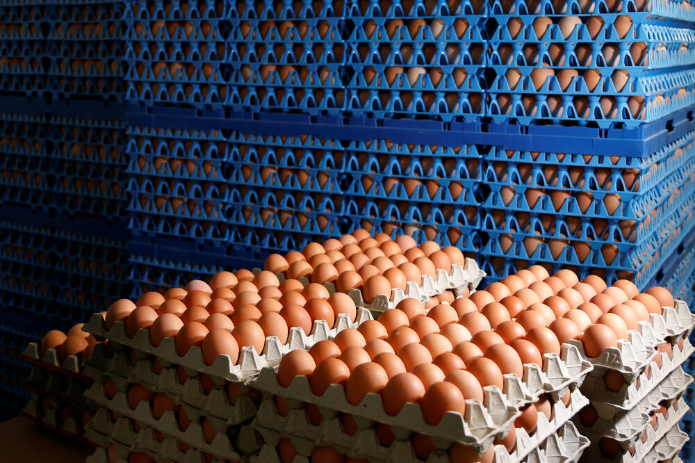 jaja, zagađena jaja, zaražena jaja, Foto: Reuters