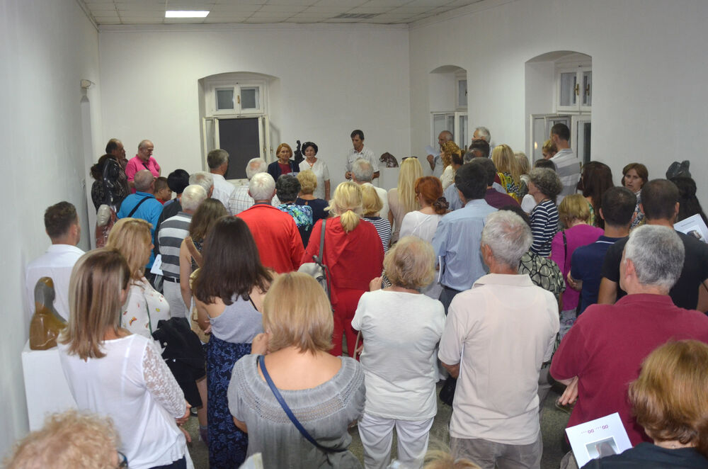 izložba Miodraga Šćepanovića