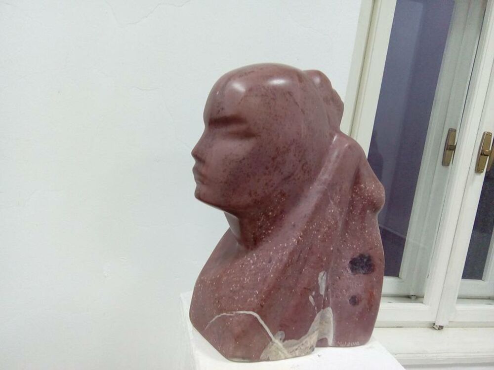 izložba Miodraga Šćepanovića