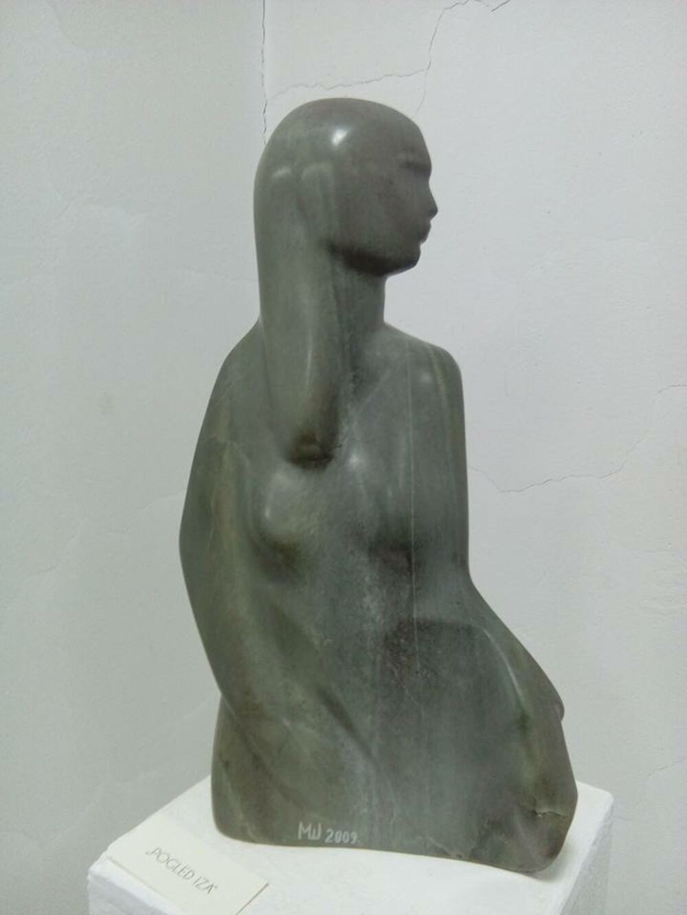 izložba Miodraga Šćepanovića