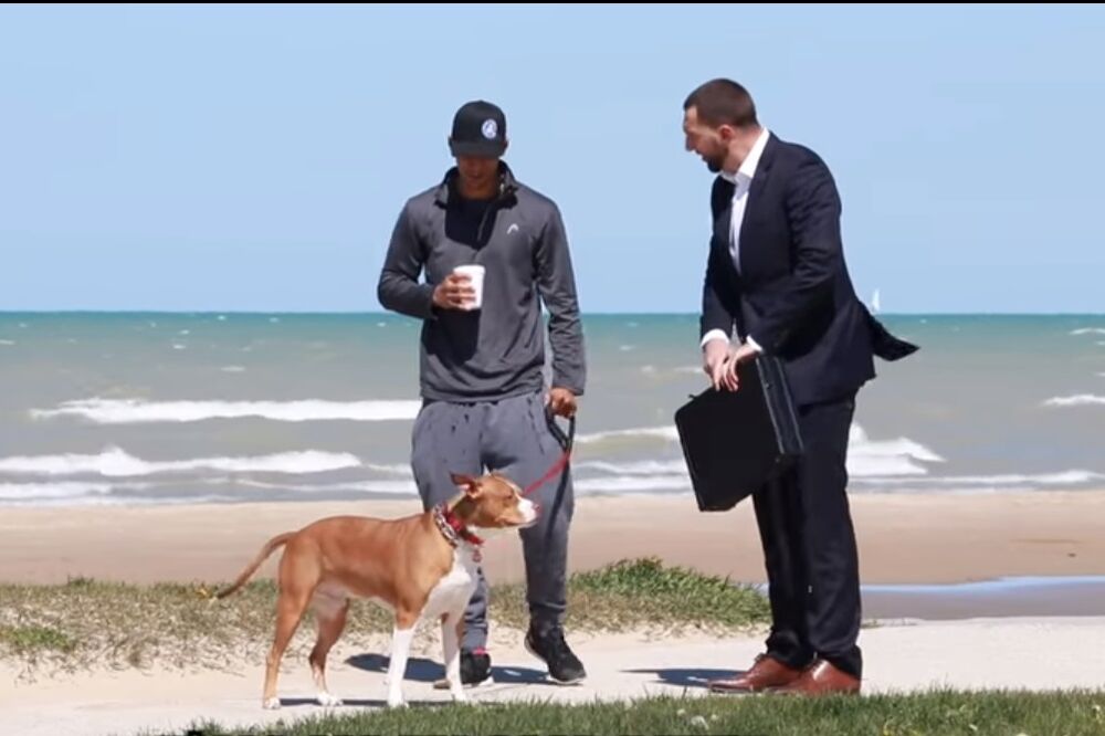 ŠEjn Douson, Foto: Printscreen