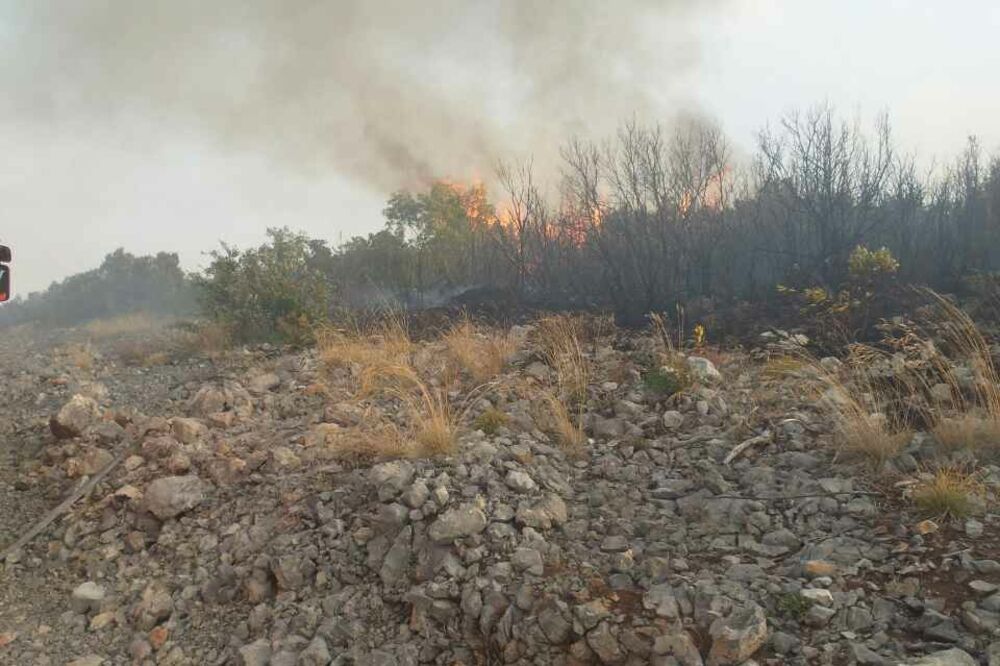 Požar kod golf terena Luštica bay, Foto: Siniša Luković