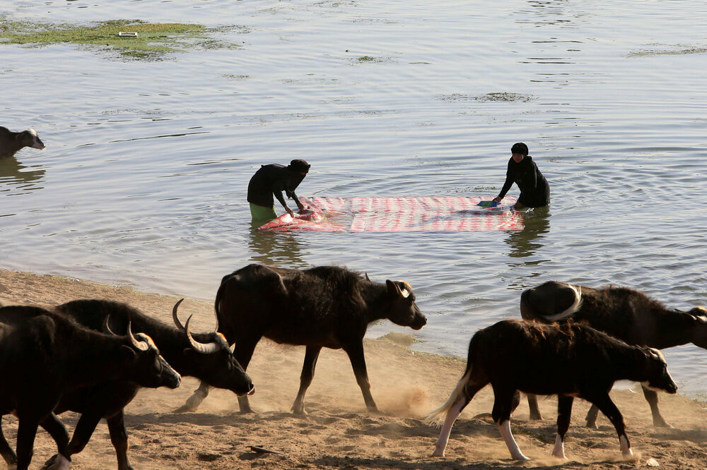 Irak rijeka, Foto: Reuters