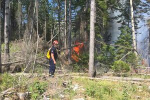 Lokalizovan požar sjeverno od Žabljaka