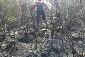 Opet se intenzivirao požar od Zabrđa prema Krašićima