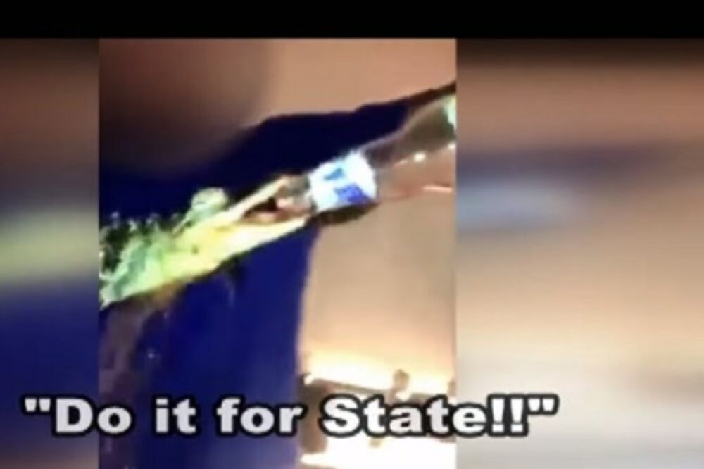 Mučenje aligatora, Foto: Screenshot (YouTube)