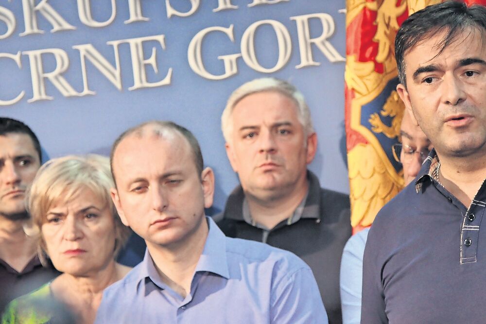 DF, Demokratski front, Nebojša medojević, Milan Knežević, Foto: Filip Roganović