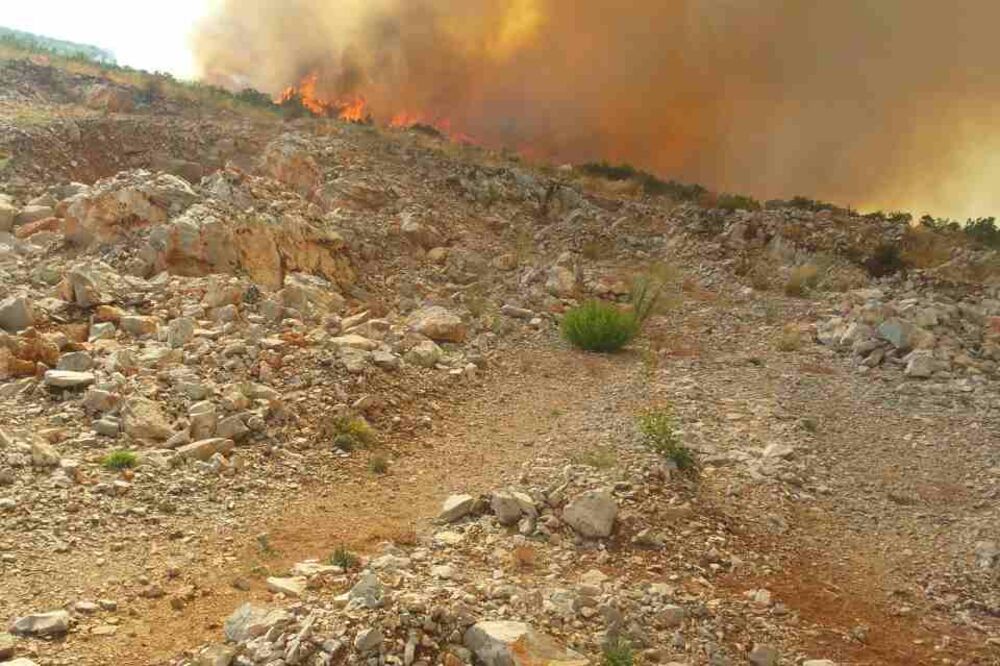 požar iznad Gošića, Foto: DVD Krtoli