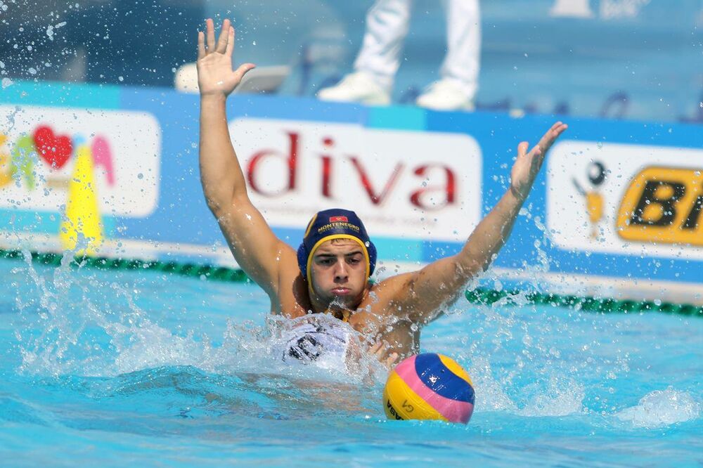 Nikola Moskov, Foto: WC2017.SRBWP.RS