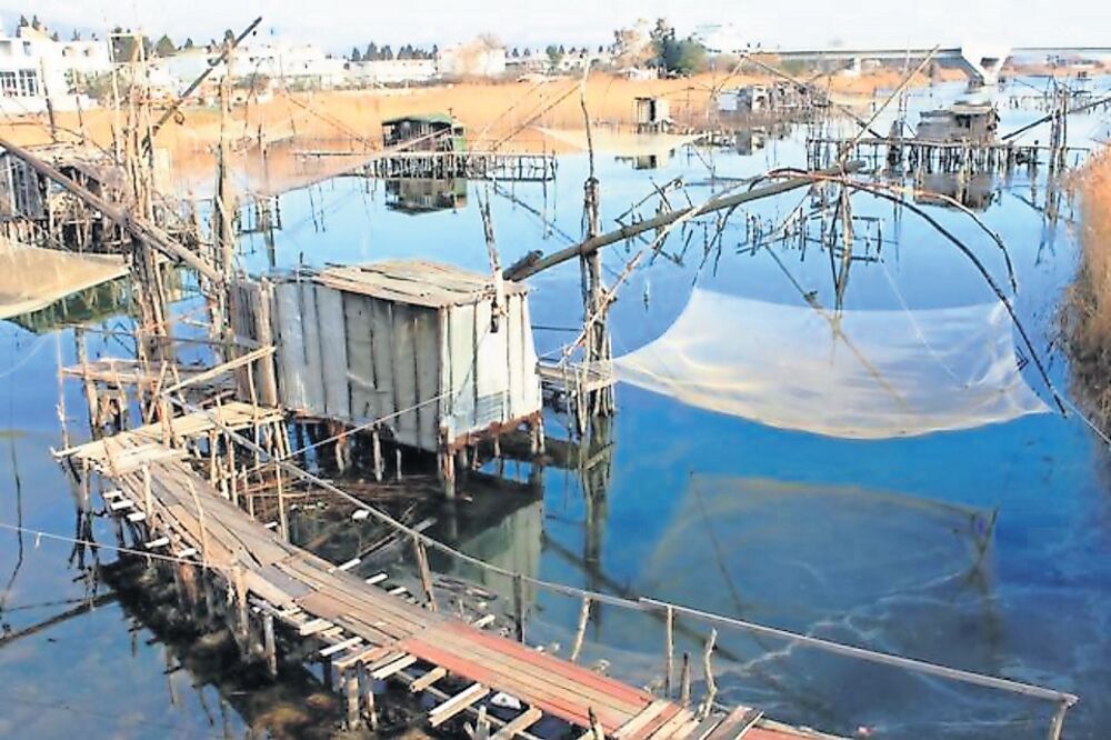 Port Milena, Foto: Mne.ul-info.com