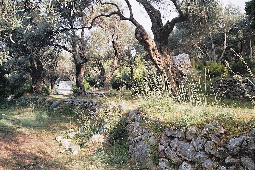 Pasja jama, Foto: Vuk Lajović