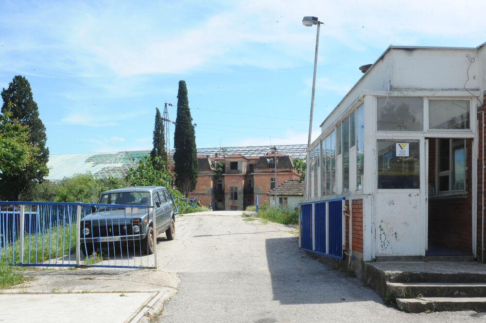 Solana, Foto: Savo Prelević