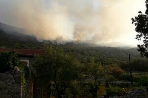 Herceg Novi: Požari na Luštici i Orjenu
