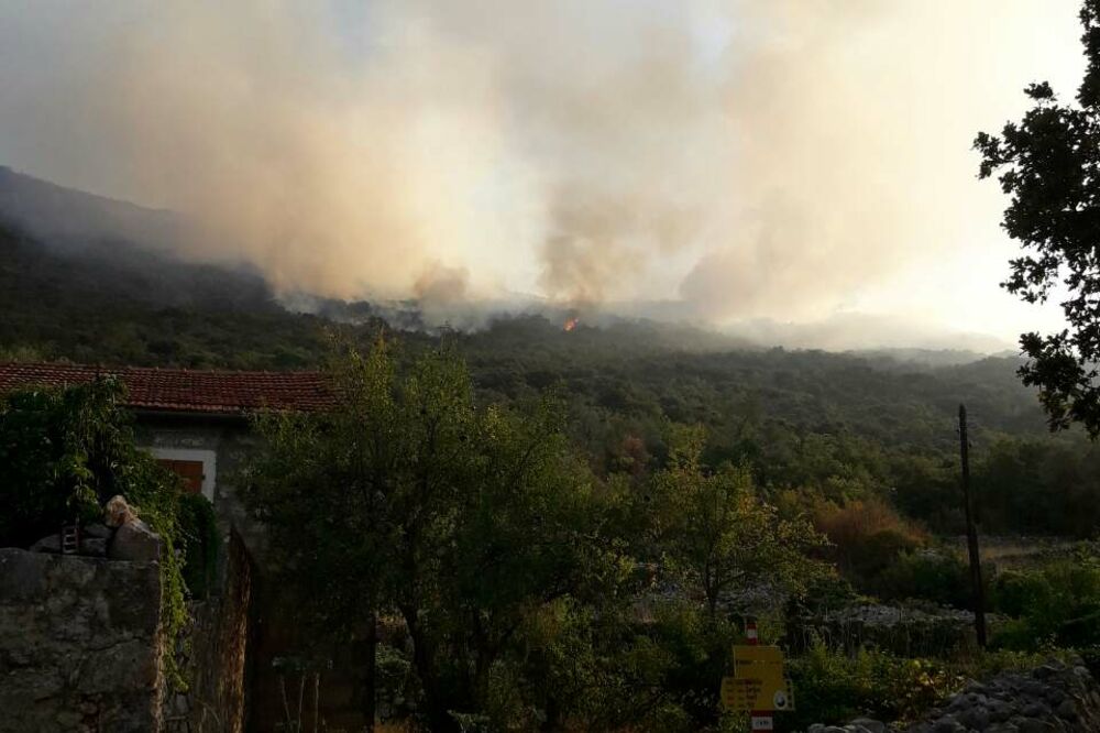 Babunci, požar, Foto: Slavica Kosić