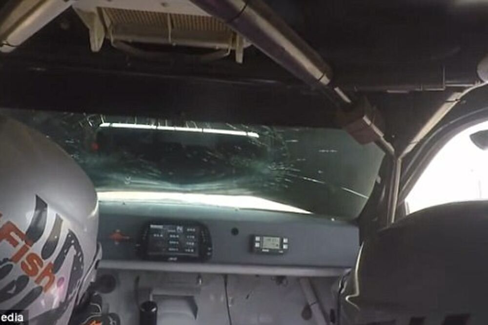 Reli, Foto: Printscreen