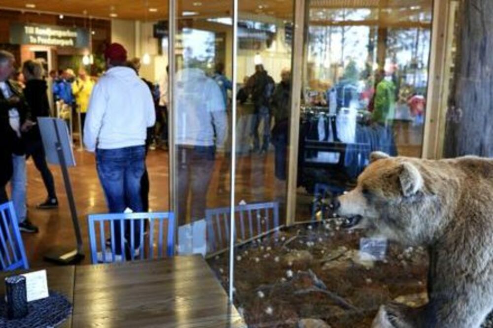 Orsa Rovjurspark, Foto: Twitter