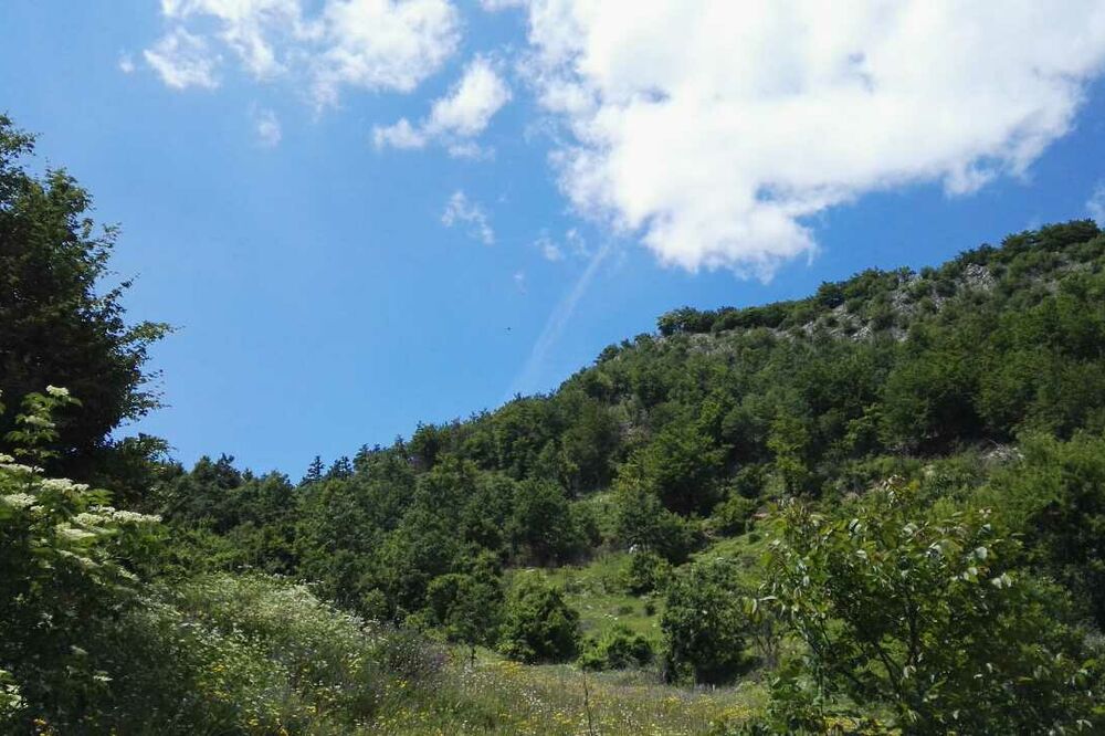 vremenska prognoza, priroda, Piva, Foto: Dušan Cicmil