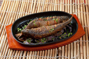 Boje jutra: Kakvu ribu jedemo?