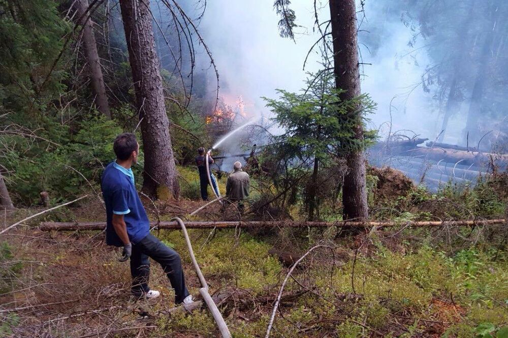 požar Prokletije, Foto: NPCG