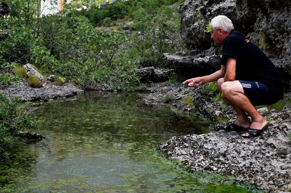 Morača fekalije, Foto: Luka Zeković