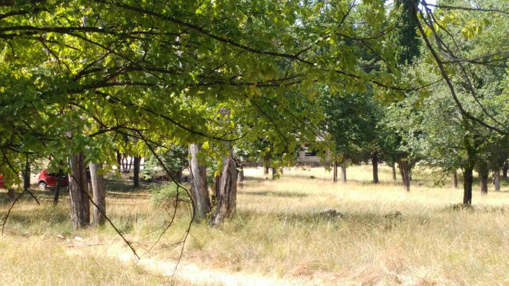 Tivat, kompleks Župa