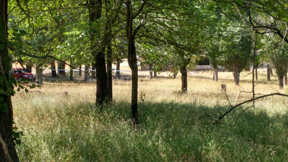 Tivat, kompleks Župa