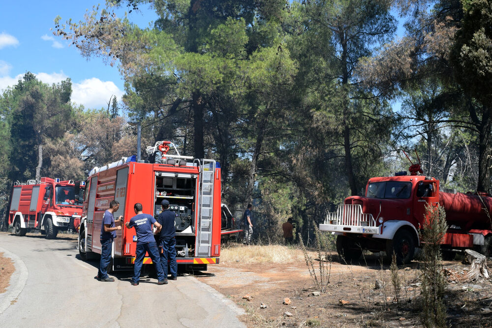 Ljubović požar, Foto: Luka Zeković