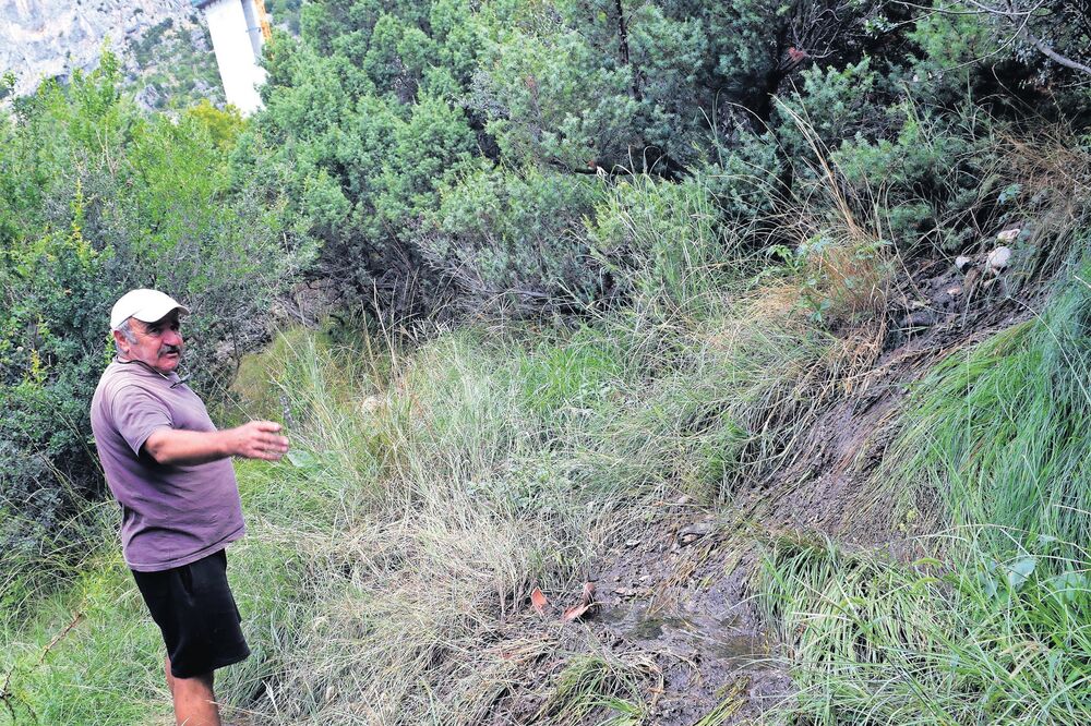 Nasto Ivanović, Foto: Luka Zeković