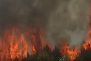 Izbio veliki šumski požar na jugu Grčke: Vatra se proširila zbog...