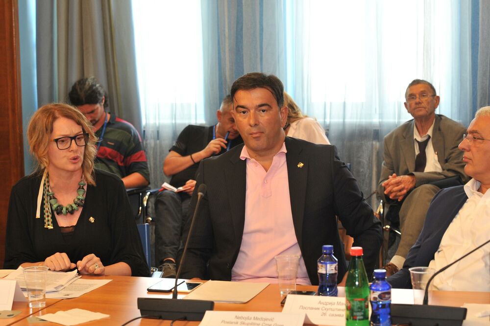 Nebojša Medojević, Andrija Mandić, Foto: Savo Prelević