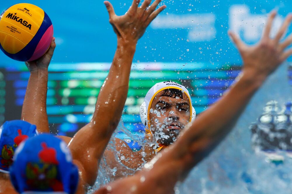 Darko Brguljan, Foto: Fina-budapest2017.com