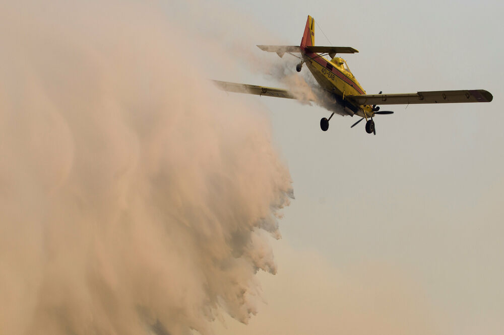 Luštica požar, Foto: Reuters