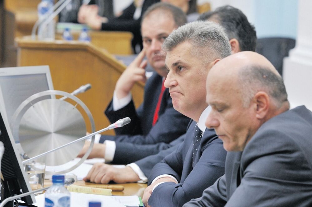 Ivan Brajović, Aleksandar Jovićević, Skupština, Foto: Savo Prelević