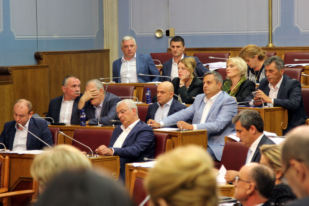 Skupština, Foto: Filip Roganović