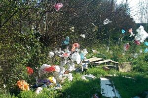 Potpišite peticiju: Vlada da zabrani upotrebu plastičnih kesa u...