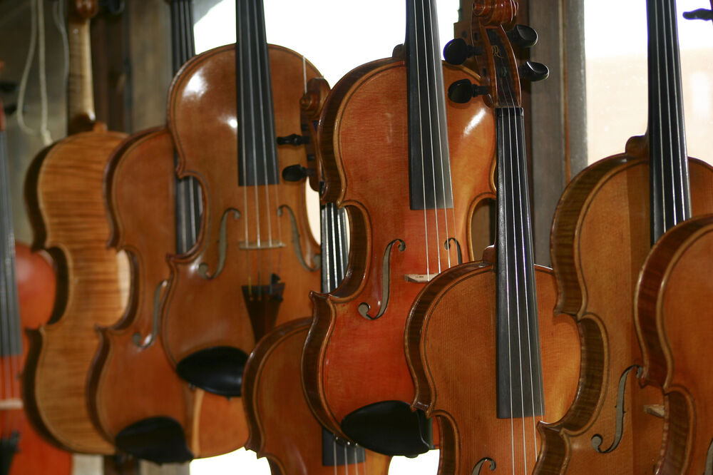 Violine, Foto: Shutterstock