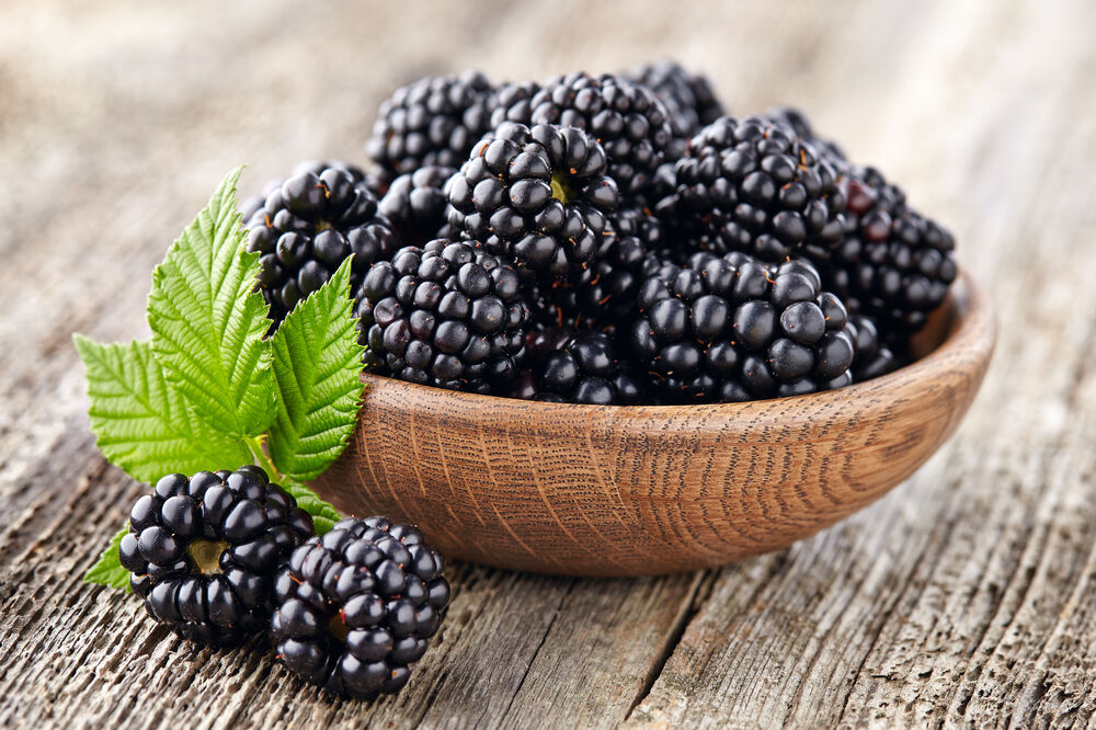 kupina, Foto: Shutterstock