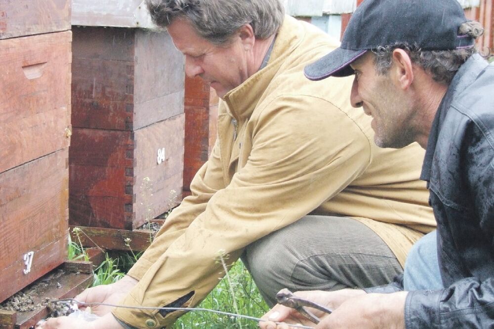 pčelari bar, Foto: Arhiva Vijesti